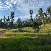 Review photo of RD 356 Dispersed Site Black Hills National Forest by Sam S., April 30, 2025