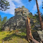 Review photo of RD 356 Dispersed Site Black Hills National Forest by Goshen K., July 25, 2026