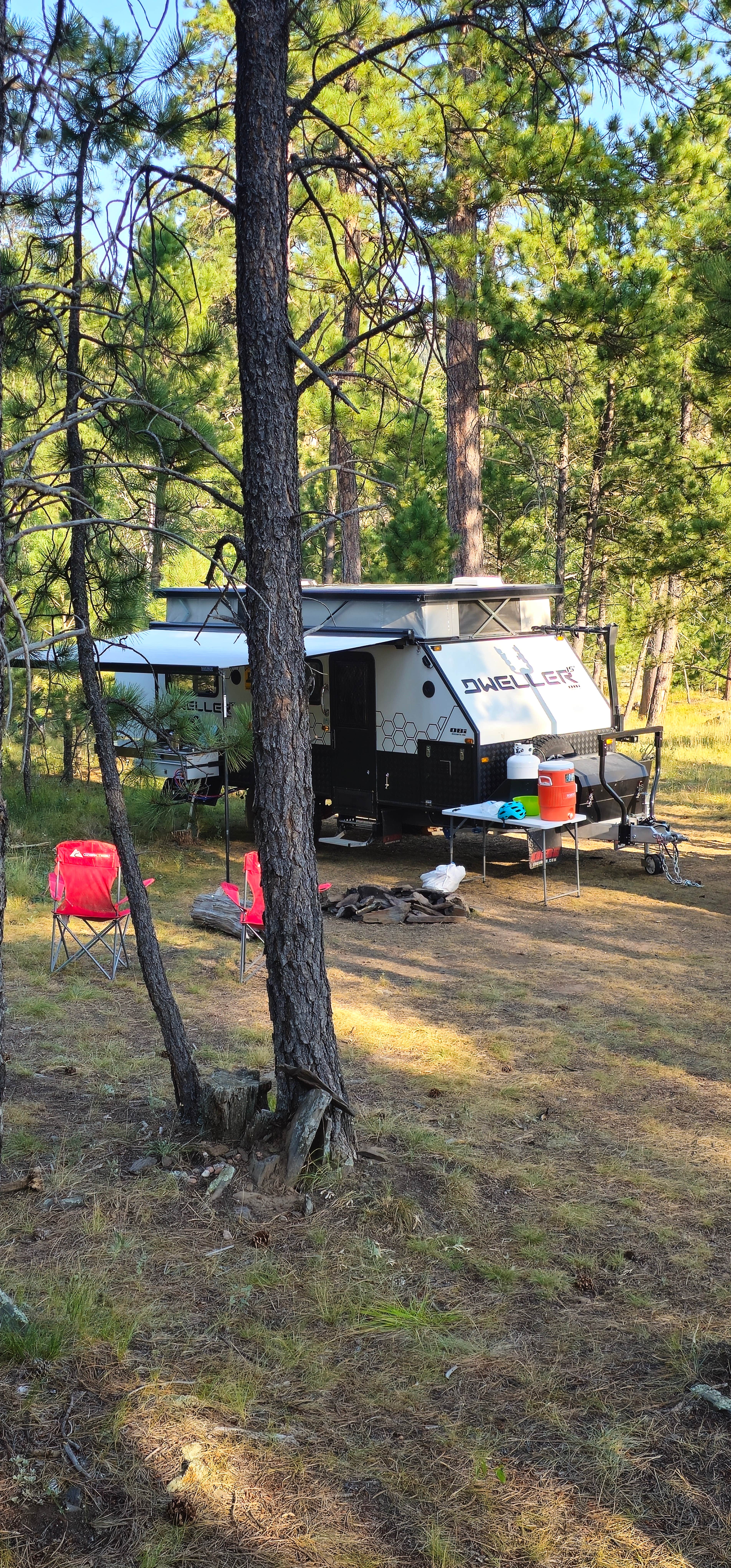 RD 356 Dispersed Site Black Hills National Forest