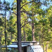 Review photo of RD 356 Dispersed Site Black Hills National Forest by Ryan S., June 17, 2025