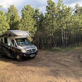 Review photo of RD 356 Dispersed Site Black Hills National Forest by frank N., May 20, 2026