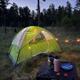 Review photo of RD 356 Dispersed Site Black Hills National Forest by Brianna F., August 5, 2025