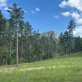 Review photo of RD 356 Dispersed Site Black Hills National Forest by Josh B., April 12, 2026