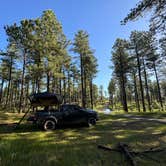 Review photo of RD 356 Dispersed Site Black Hills National Forest by Michael M., June 9, 2024