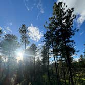 Review photo of RD 356 Dispersed Site Black Hills National Forest by Michael M., June 9, 2024