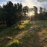 Review photo of RD 356 Dispersed Site Black Hills National Forest by Brianna F., August 5, 2025