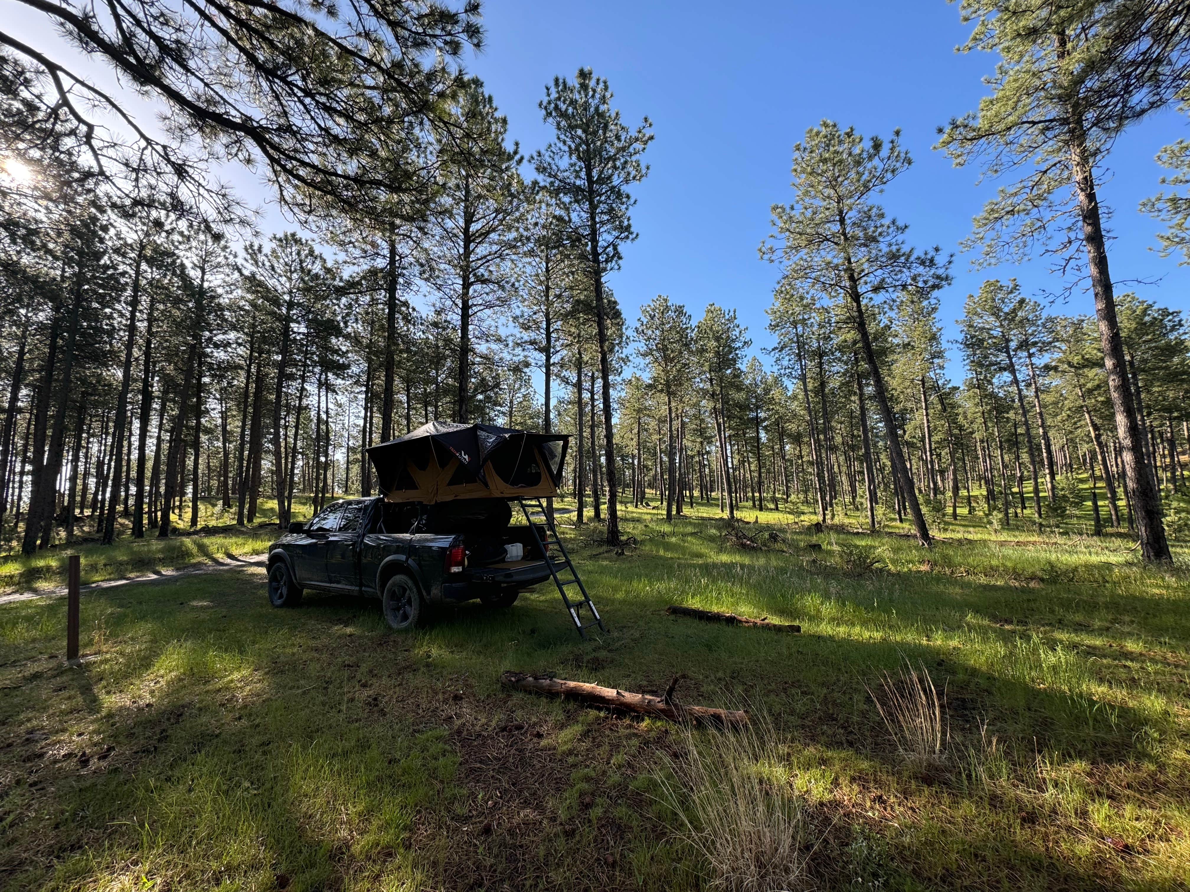 Camper-submitted photo at RD 356 Dispersed Site Black Hills National Forest near Keystone, SD