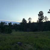 Review photo of RD 356 Dispersed Site Black Hills National Forest by Brianna F., August 5, 2025