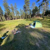 Review photo of RD 356 Dispersed Site Black Hills National Forest by Flavien G., July 9, 2024