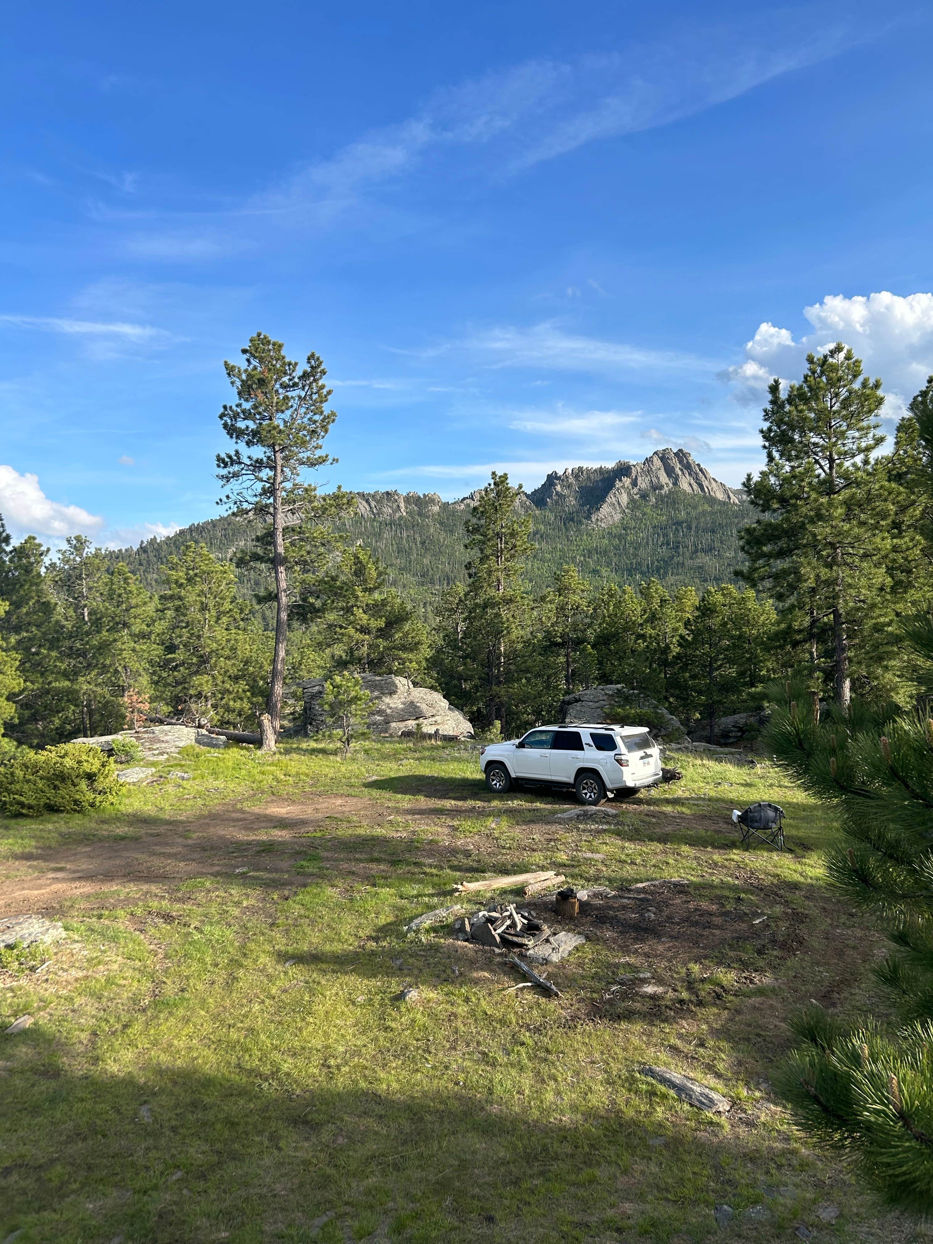 Shane H.'s photo of camping with pets at RD 356 Dispersed Site Black Hills National Forest near Blackhawk, SD
