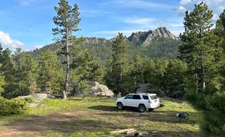 Shane H.'s photo of camping with pets at RD 356 Dispersed Site Black Hills National Forest near Black Hills National Forest
