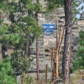Review photo of RD 356 Dispersed Site Black Hills National Forest by Goshen K., July 25, 2026