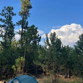 Review photo of RD 356 Dispersed Site Black Hills National Forest by Sam S., April 30, 2025