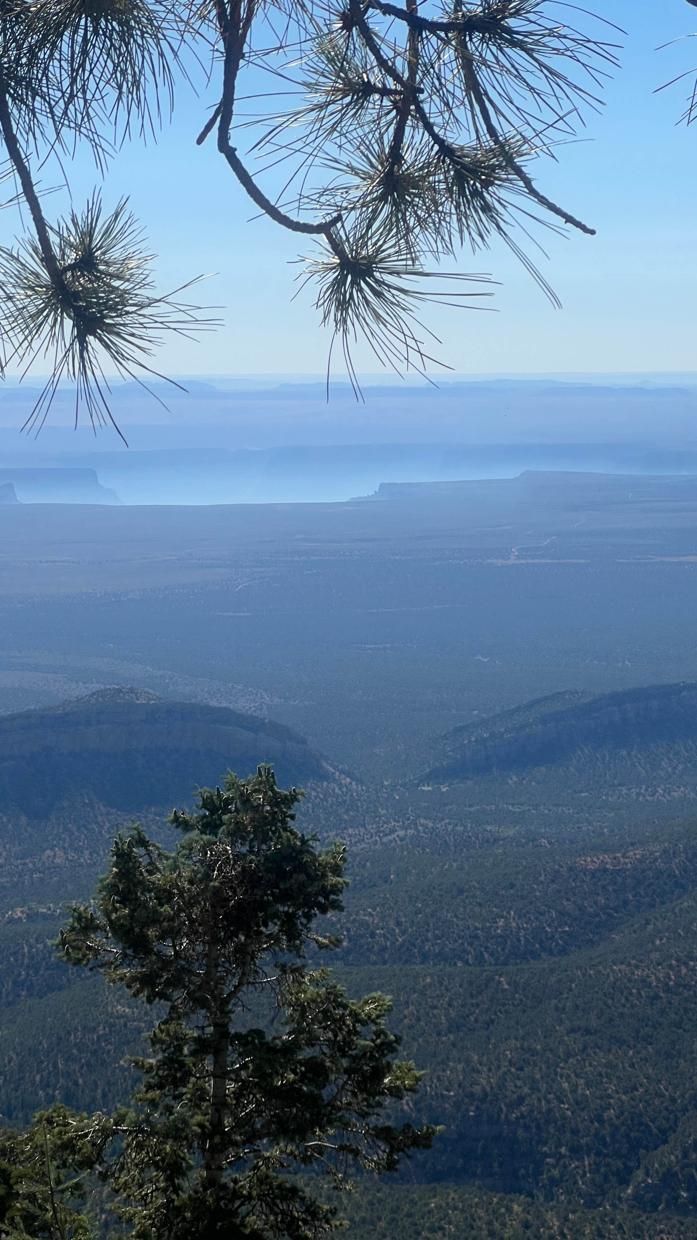 Christin B.'s photo of a dispersed camping area at Forest Road 611 near North Rim, AZ