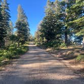 Review photo of Forest Road 611 by Christin B., July 6, 2024