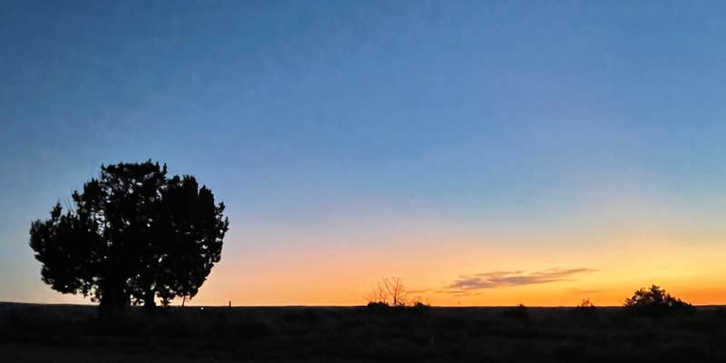 Camper submitted image from Recapture Reservoir Dispersed PullOff - Blanding Utah