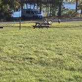 Review photo of Wolfe's Neck Oceanfront Campground by Keith F., October 11, 2025