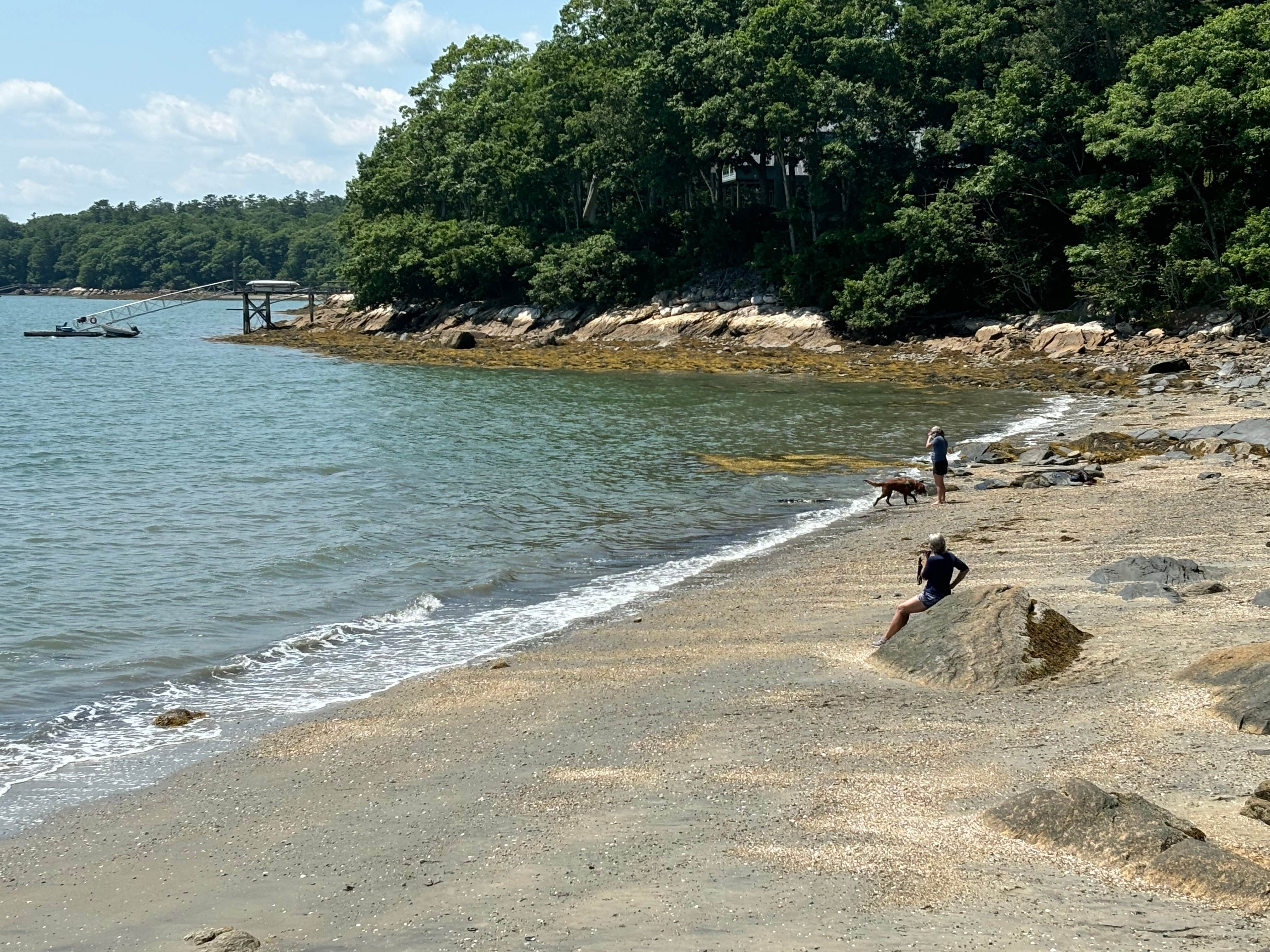 John C.'s photo of camping with pets at Wolfe's Neck Oceanfront Campground near Portland, ME
