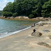 Review photo of Wolfe's Neck Oceanfront Campground by John C., August 31, 2024