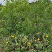 Review photo of Red Arroyo — San Angelo State Park by R F., May 18, 2025