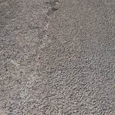 Review photo of Red Arroyo — San Angelo State Park by Michael G., December 20, 2025