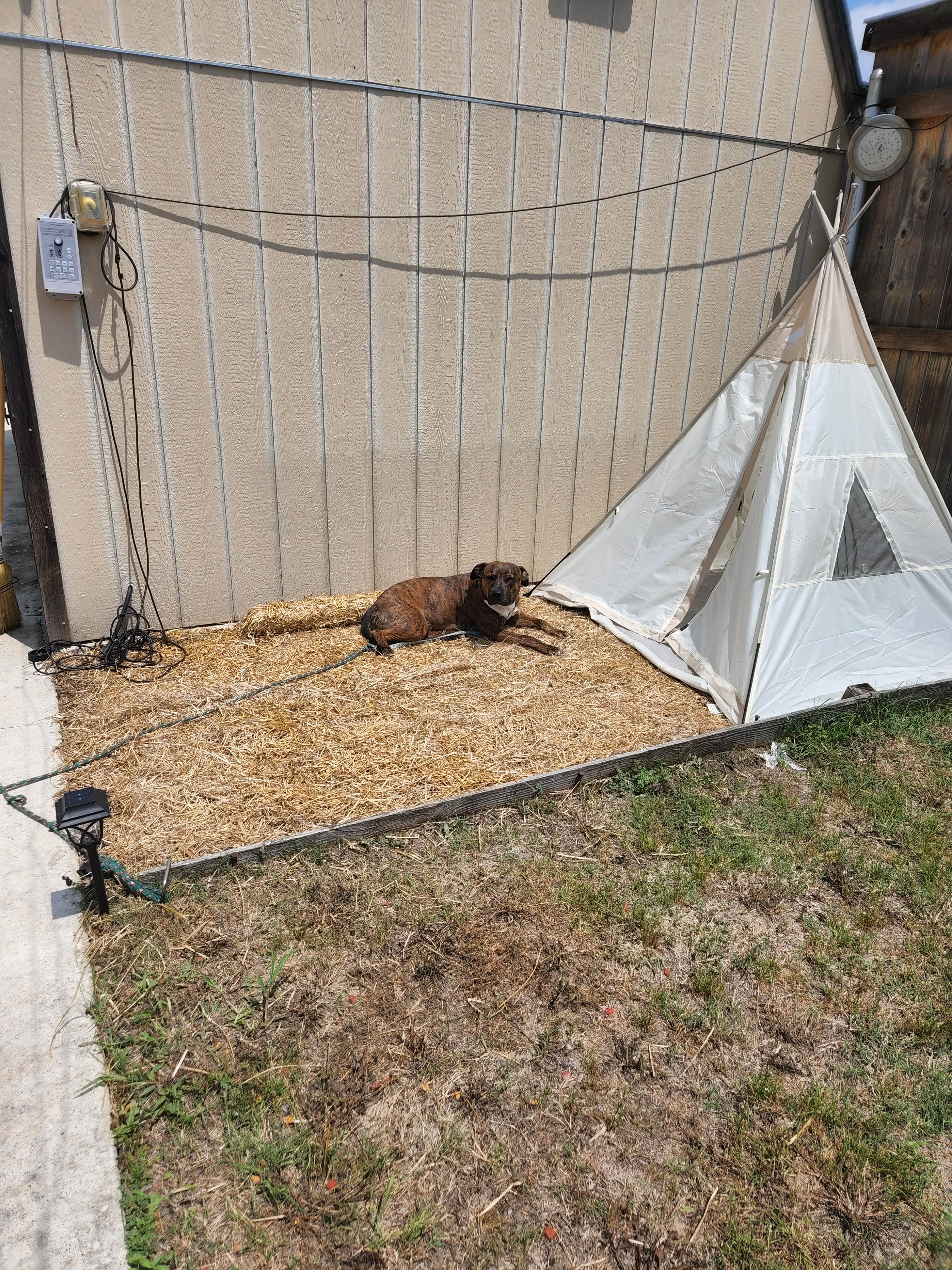 Camper-submitted photo at Red Barn RV Park near San Augustine, TX