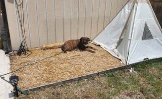 Jessica M.'s photo of camping with pets at Red Barn RV Park near San Augustine, TX