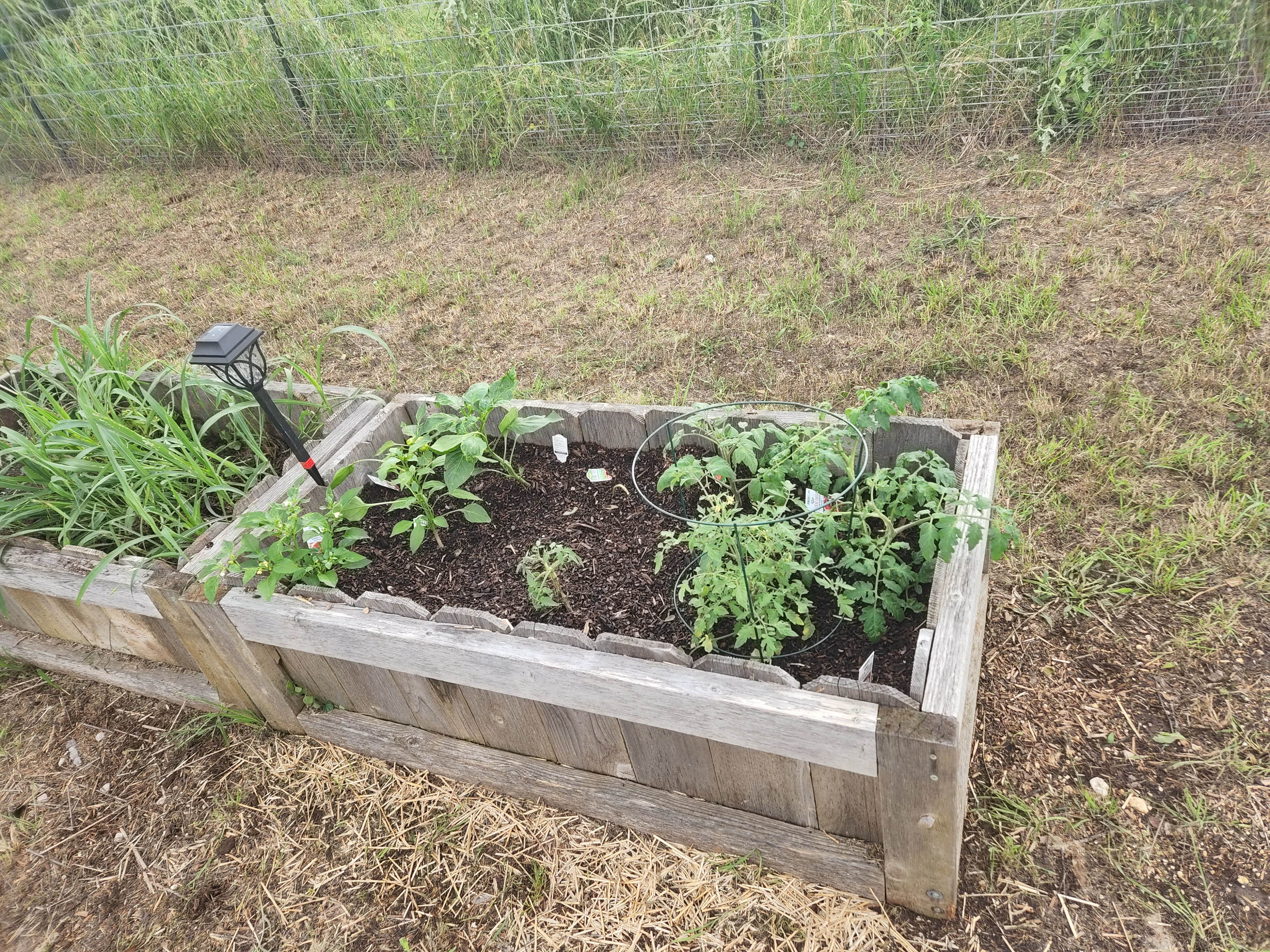 Camper-submitted photo at Red Barn RV Park near San Augustine, TX