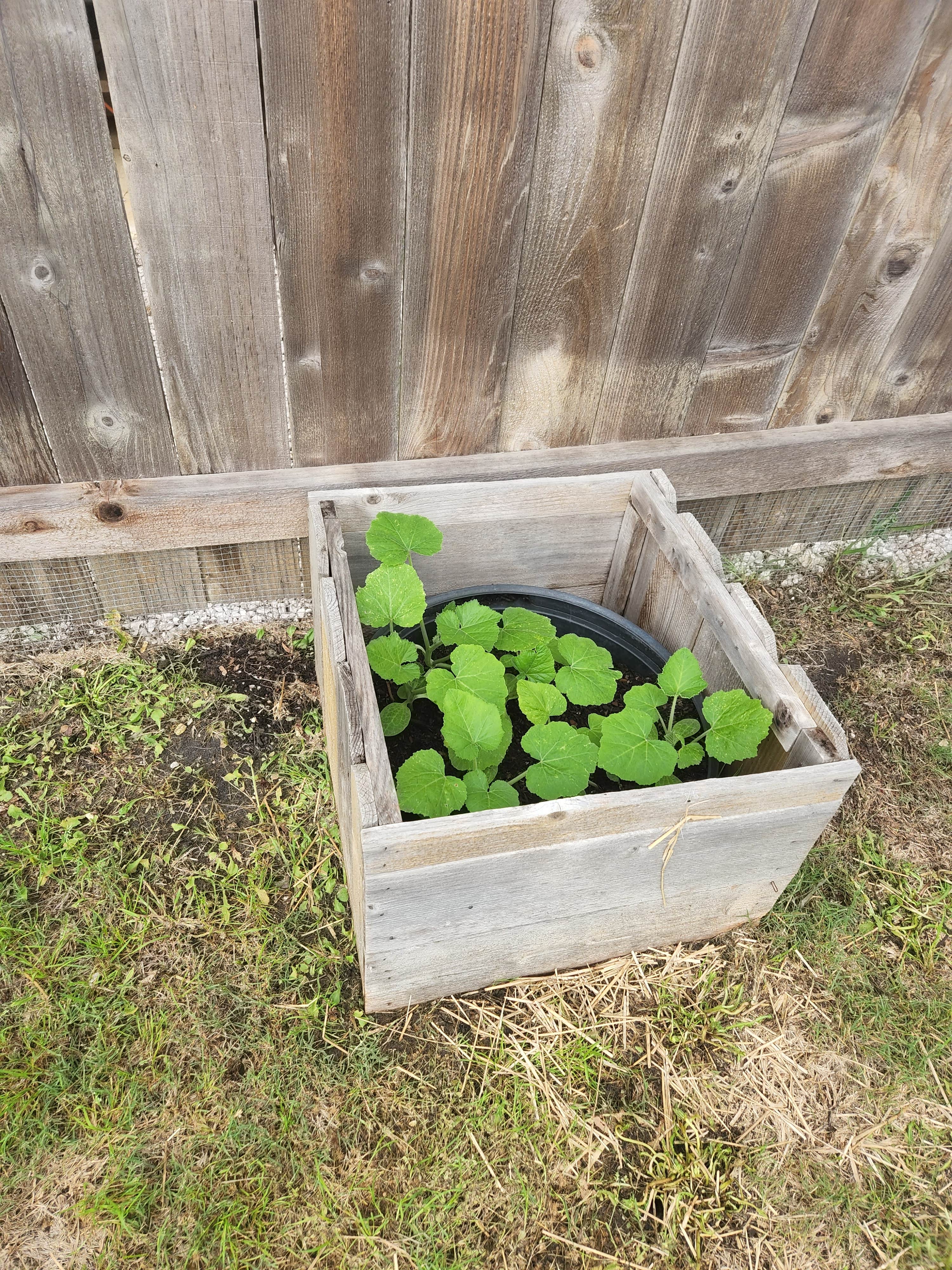 Camper-submitted photo at Red Barn RV Park near San Augustine, TX