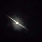 Review photo of Red Bluff Campground by Drew B., September 24, 2026