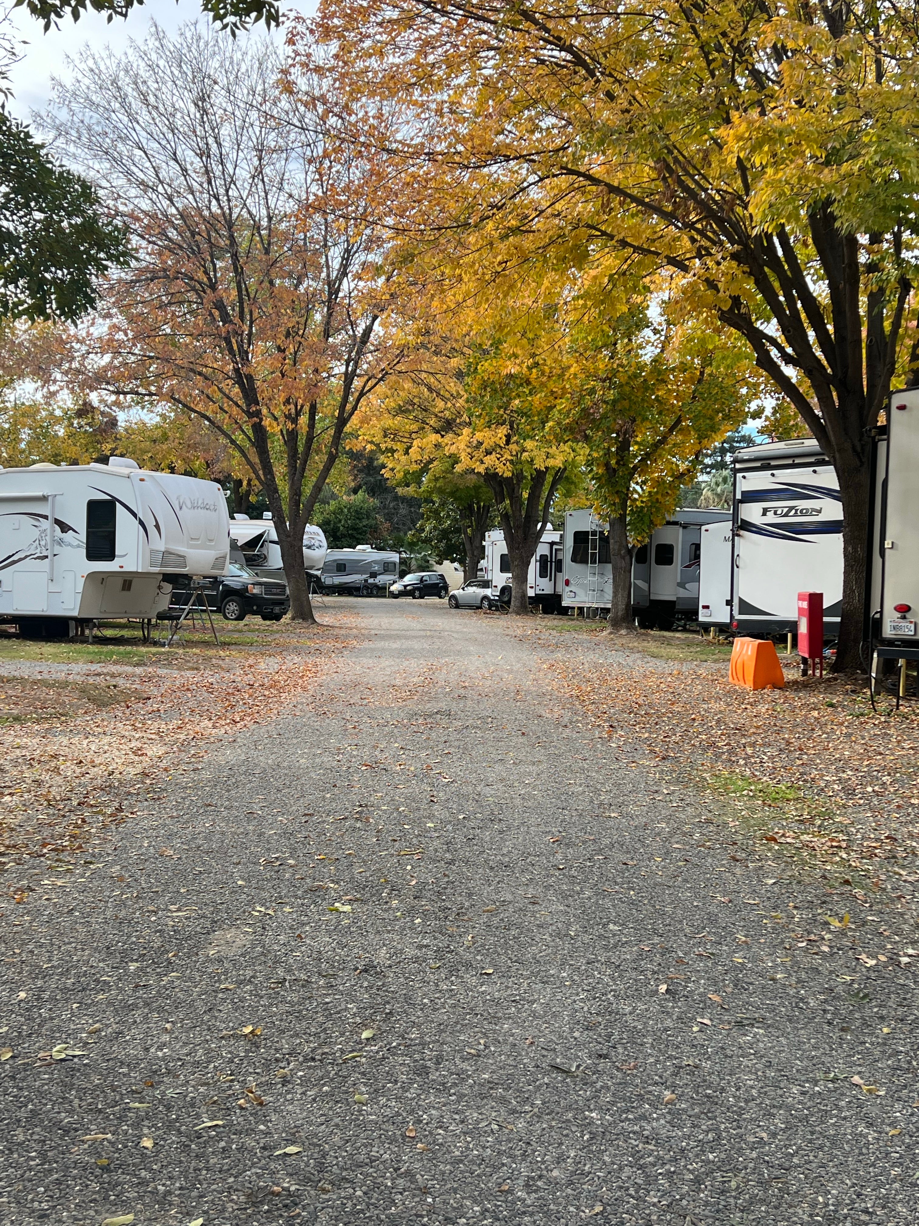Camper submitted image from Red Bluff RV Park - 1