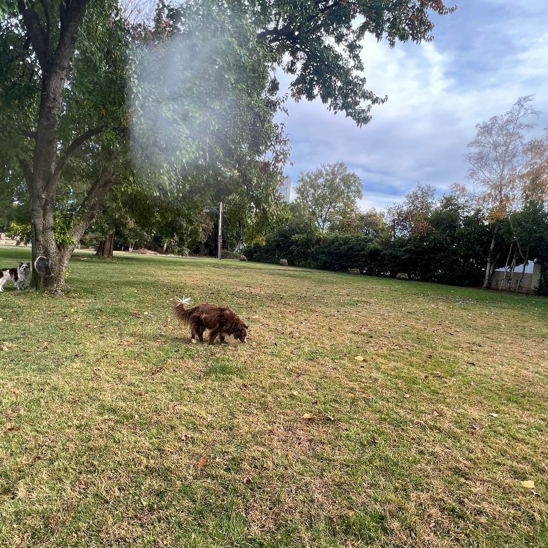 Red Bluff RV Park Red Bluff, CA