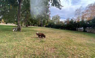 lori E.'s photo of camping with pets at Red Bluff RV Park near Corning, CA