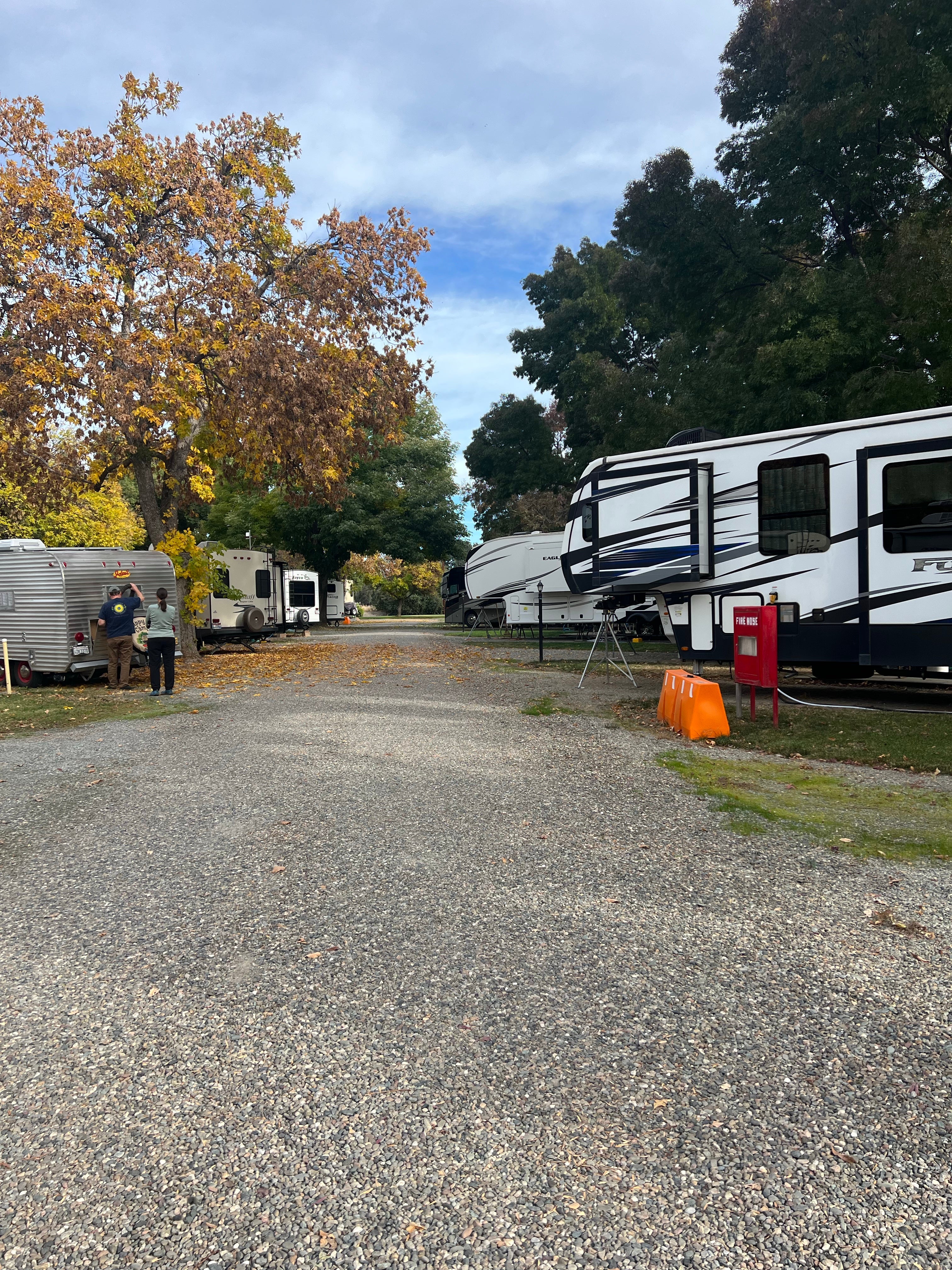 Camper submitted image from Red Bluff RV Park - 3