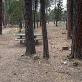 Review photo of Red Canyon (Nm) — Cibola National Forest And Grasslands by Kathleen D., April 21, 2026