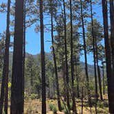 Review photo of Red Canyon (Nm) — Cibola National Forest And Grasslands by LynnMarie J., May 10, 2026