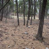 Review photo of Red Canyon (Nm) — Cibola National Forest And Grasslands by Kathleen D., April 21, 2026