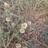 Review photo of Red Canyon (Nm) — Cibola National Forest And Grasslands by LynnMarie J., May 10, 2026