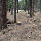 Review photo of Red Canyon (Nm) — Cibola National Forest And Grasslands by Kathleen D., April 21, 2026