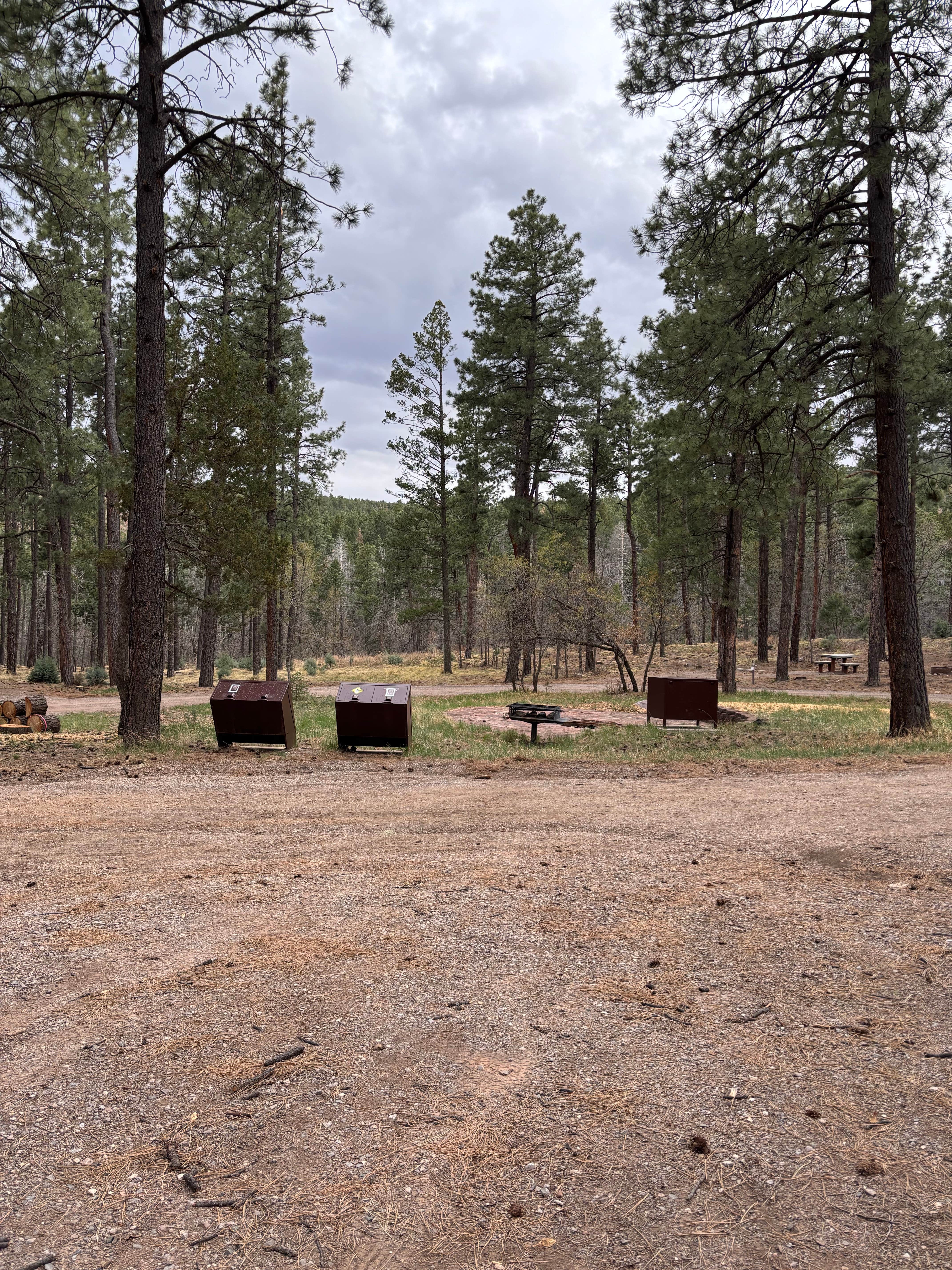 Camper-submitted photo at Red Canyon (Nm) — Cibola National Forest And Grasslands near Tome, NM