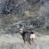 Review photo of Red Canyon Park by Sabrina G., November 13, 2025