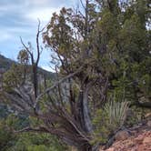 Review photo of Red Canyon Park by Sabrina G., November 13, 2025