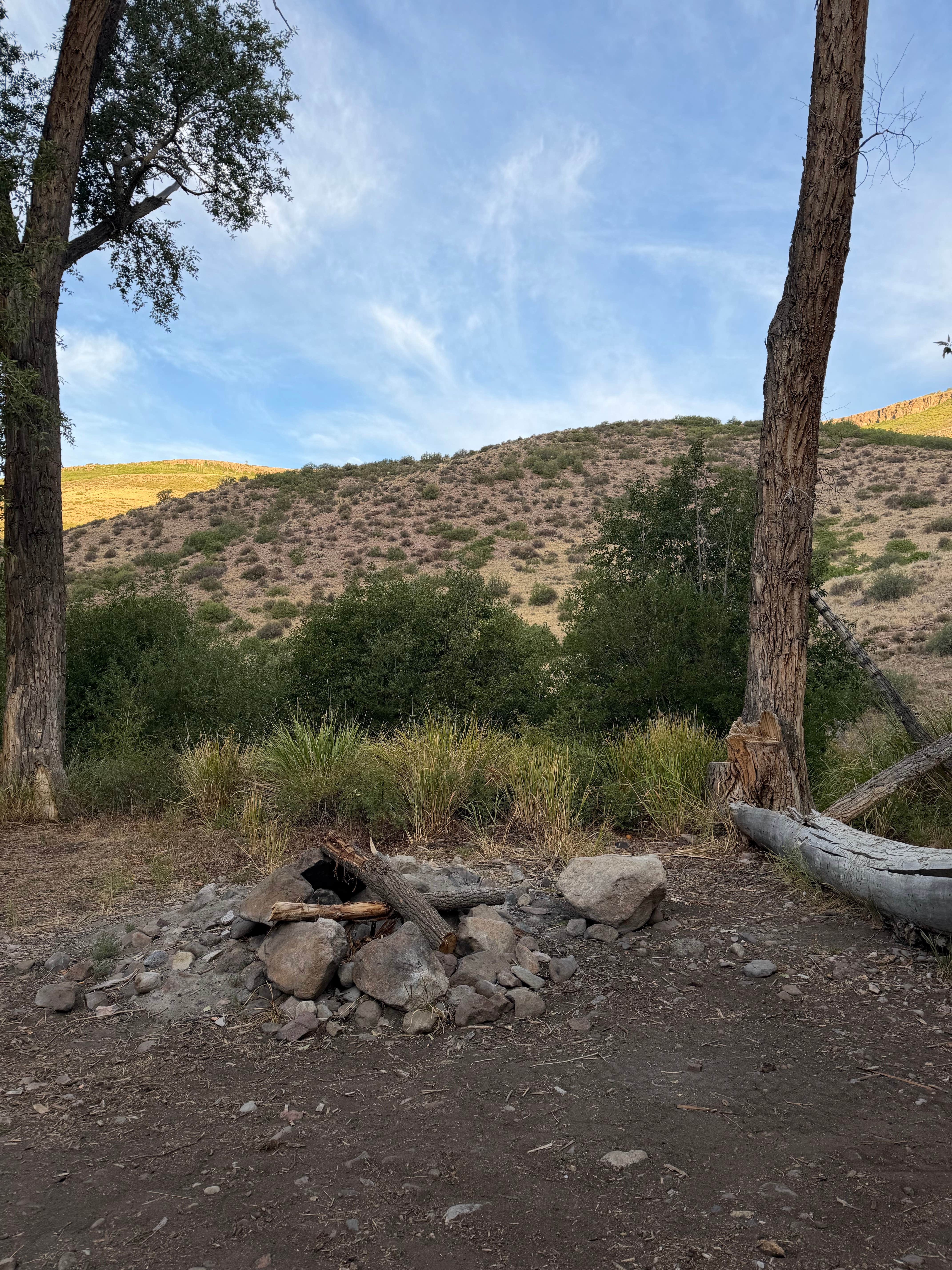 Camper-submitted photo at red creek primitive near Curecanti National Recreation Area