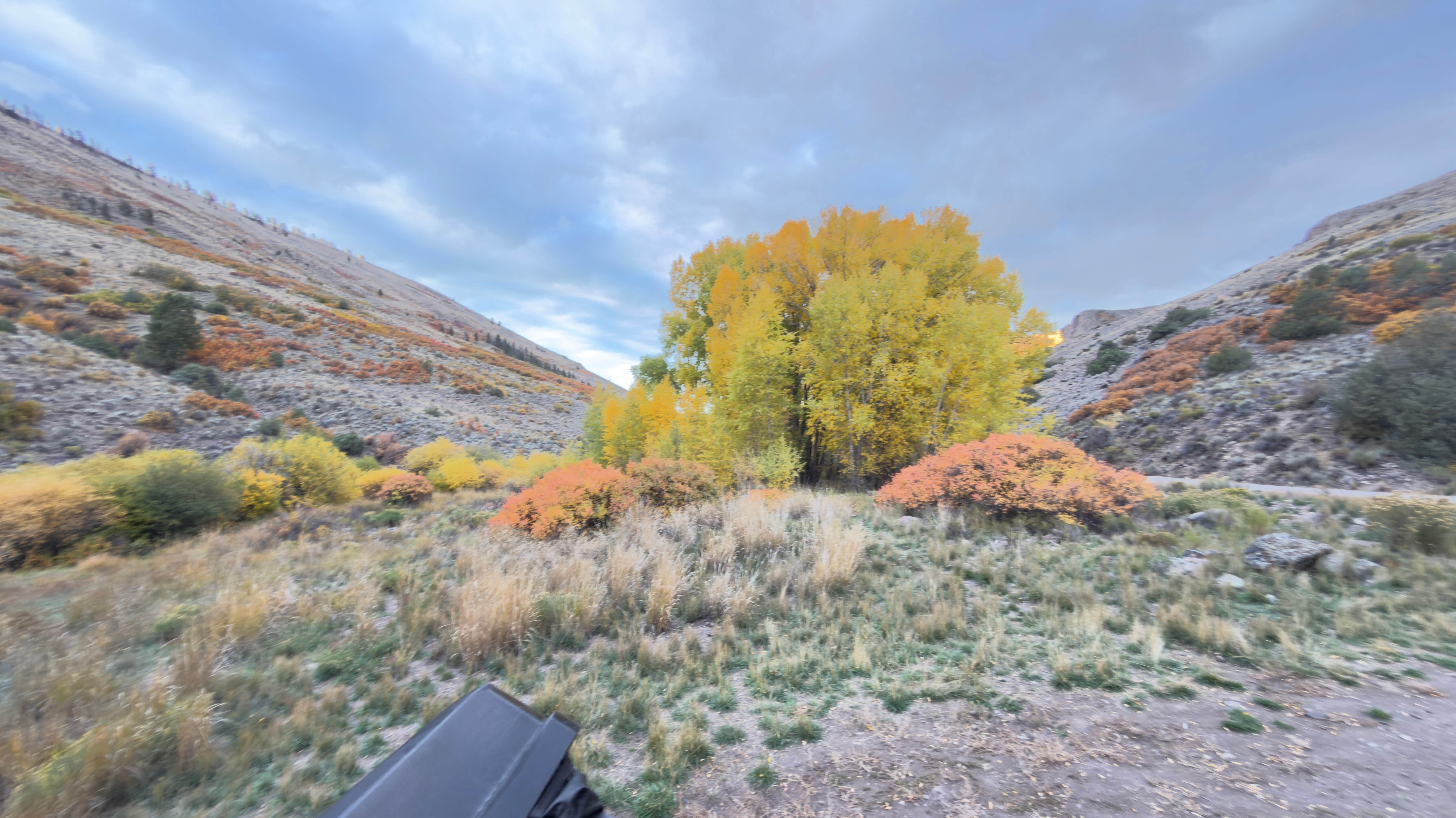 Camper-submitted photo at Red Creek Rd Dispersed Camping near Black Canyon of the Gunnison National Park