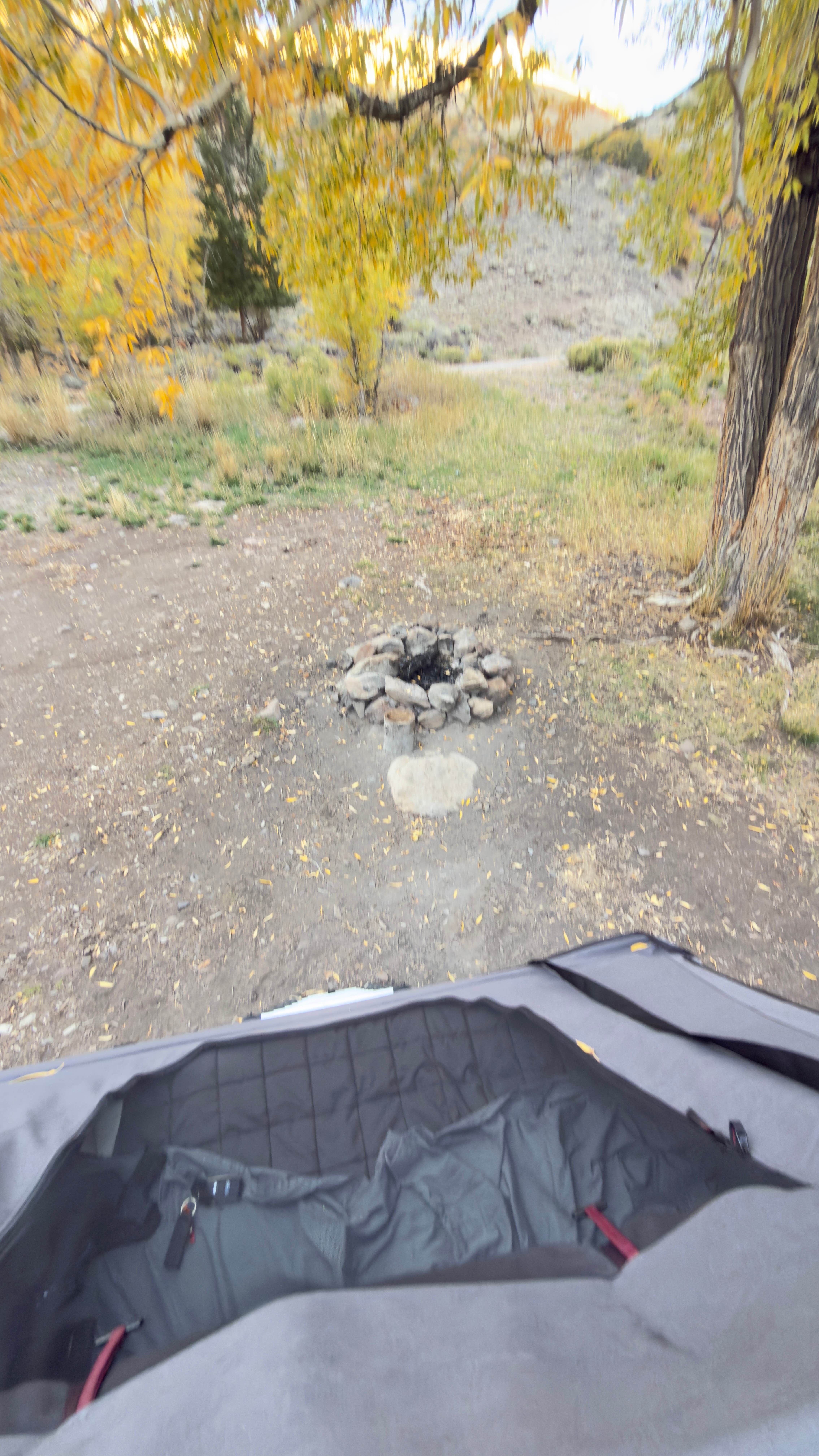 Camper submitted image from Red Creek Rd Dispersed Camping - 3