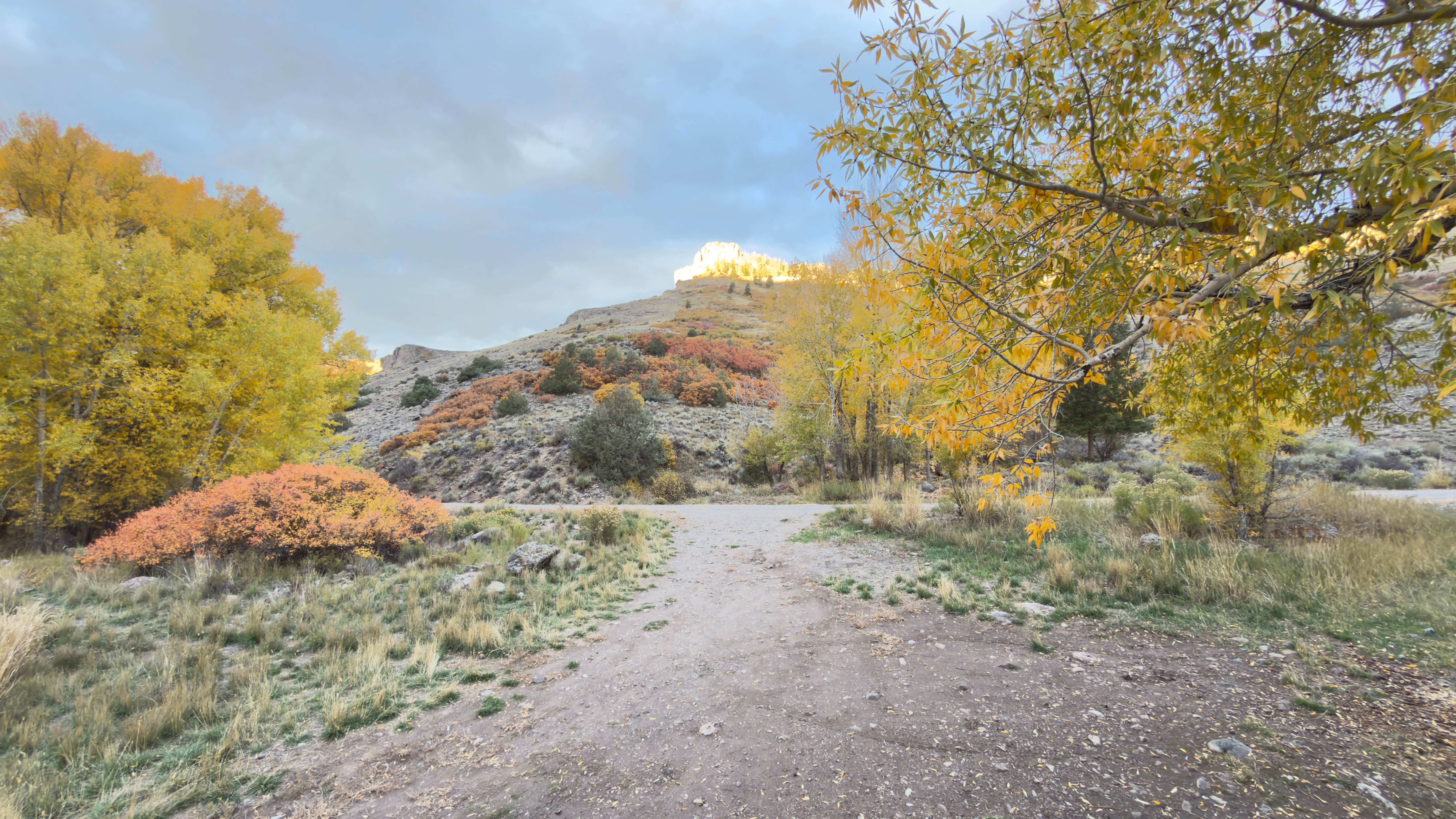 Camper submitted image from Red Creek Rd Dispersed Camping - 2