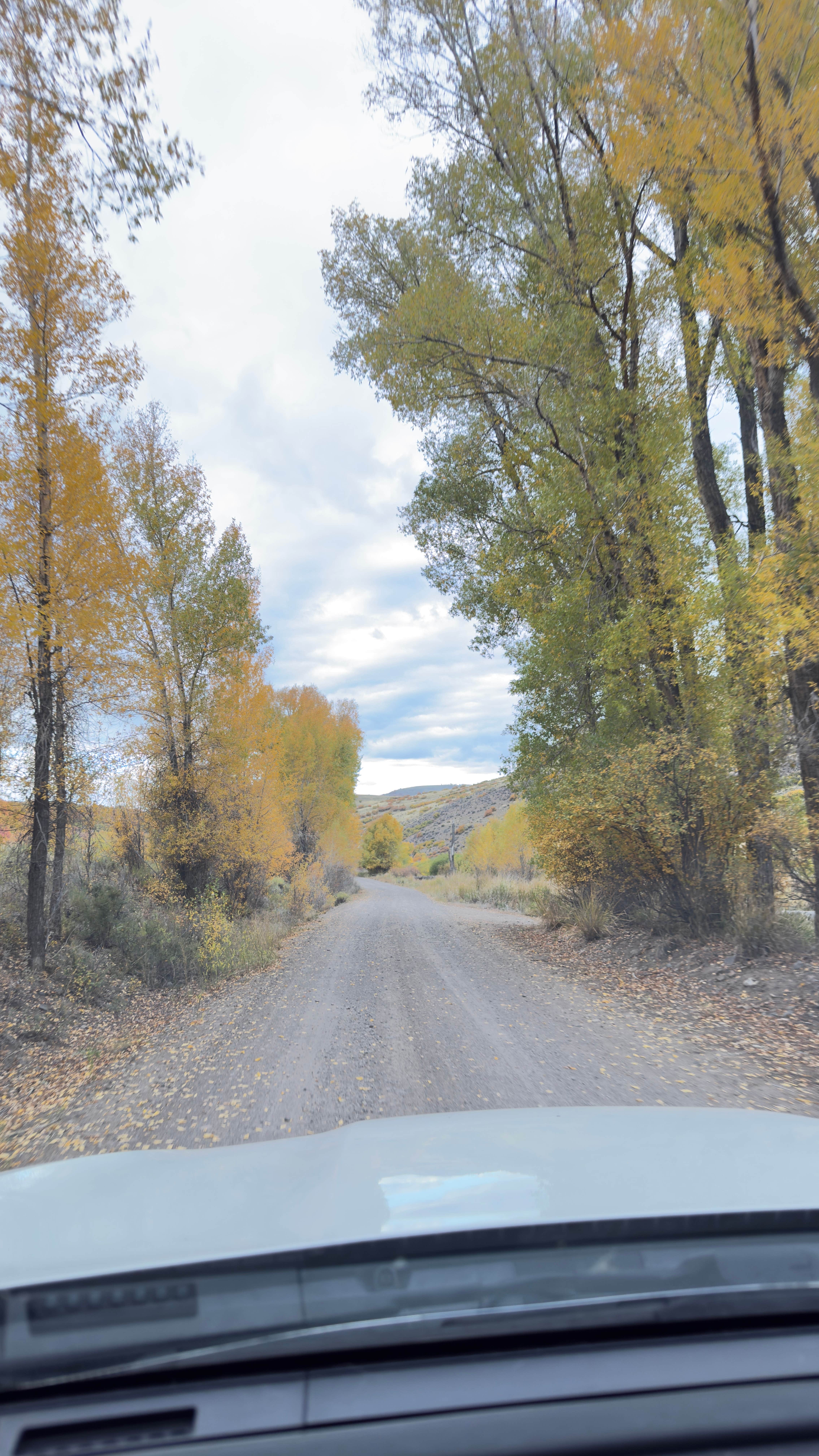 Camper-submitted photo at Red Creek Rd Dispersed Camping near Black Canyon of the Gunnison National Park