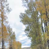 Review photo of Red Creek Rd Dispersed Camping by Vinny D., September 30, 2025