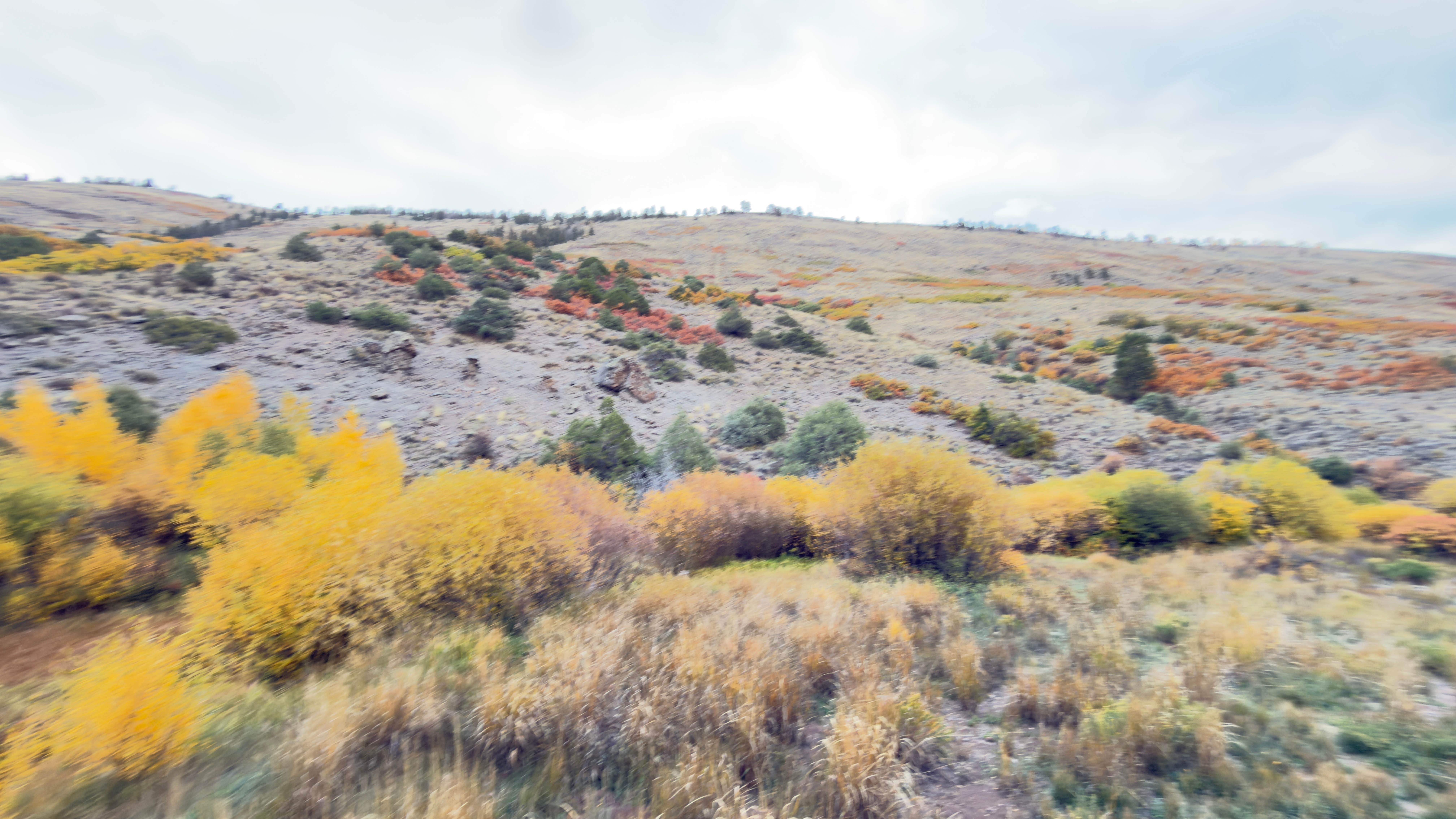 Camping near Ponderosa - Curecanti National Recreation Area: Red Creek Rd Dispersed Camping, Curecanti National Recreation Area, Colorado