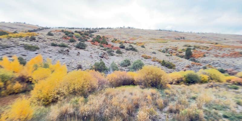 Camper submitted image from Red Creek Rd Dispersed Camping